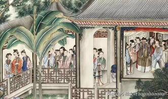 红楼梦演员表（红楼梦演员表1996）