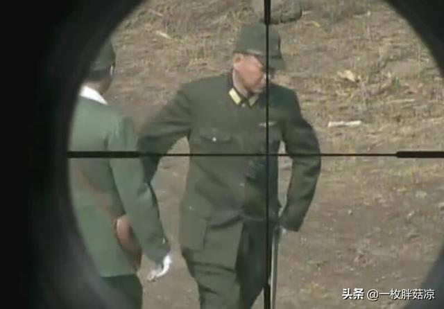 伏击电视剧全集在线观看（伏击电视剧完整版在线观看）