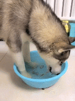 好笑的笑话(好笑的笑话段子)