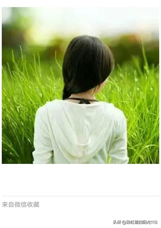 蜜里调婚小说免费阅读（蜜里调婚小说免费观看）