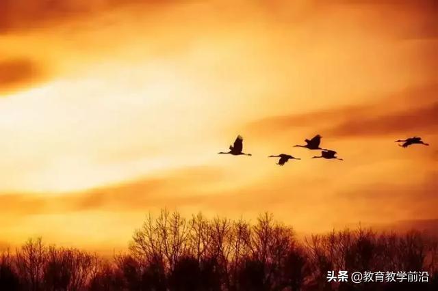 野望翻译简短（野望翻译全文翻译）