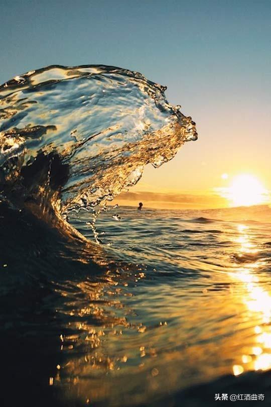 最强女婿叶辰萧初然全文阅读