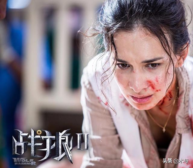 战狼2电影介绍_战狼电影介绍ppt