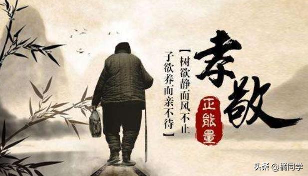 树欲静而风不止_树欲静而风不止近义词