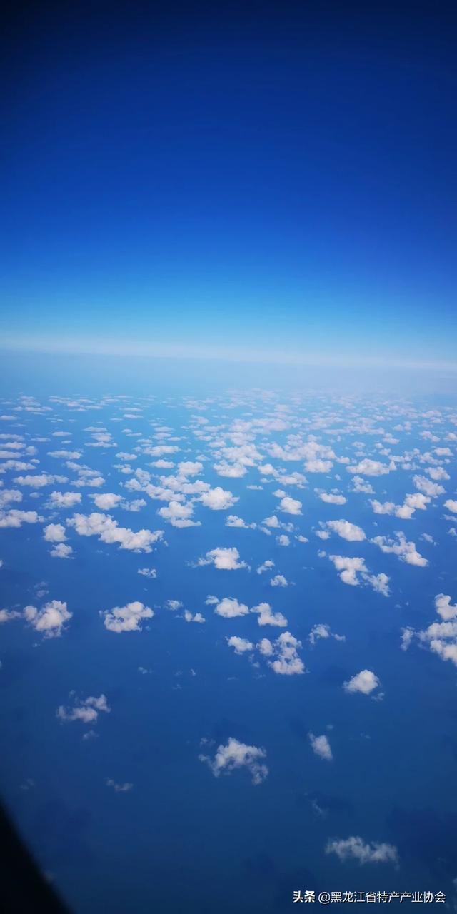 大江大河2全集免费播放(大江大河2电视剧免费观看全集完整版策驰)